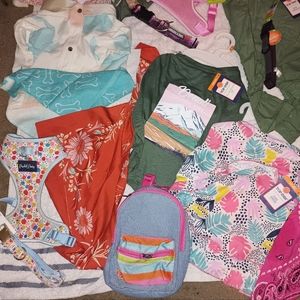 18 pc girl dog outfit summer bundle, dresses,collars, harnesses, bandanas, purse